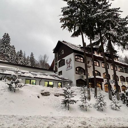 Cerbul Chalet Accommodation & Wellness Rîşnov 외부 사진
