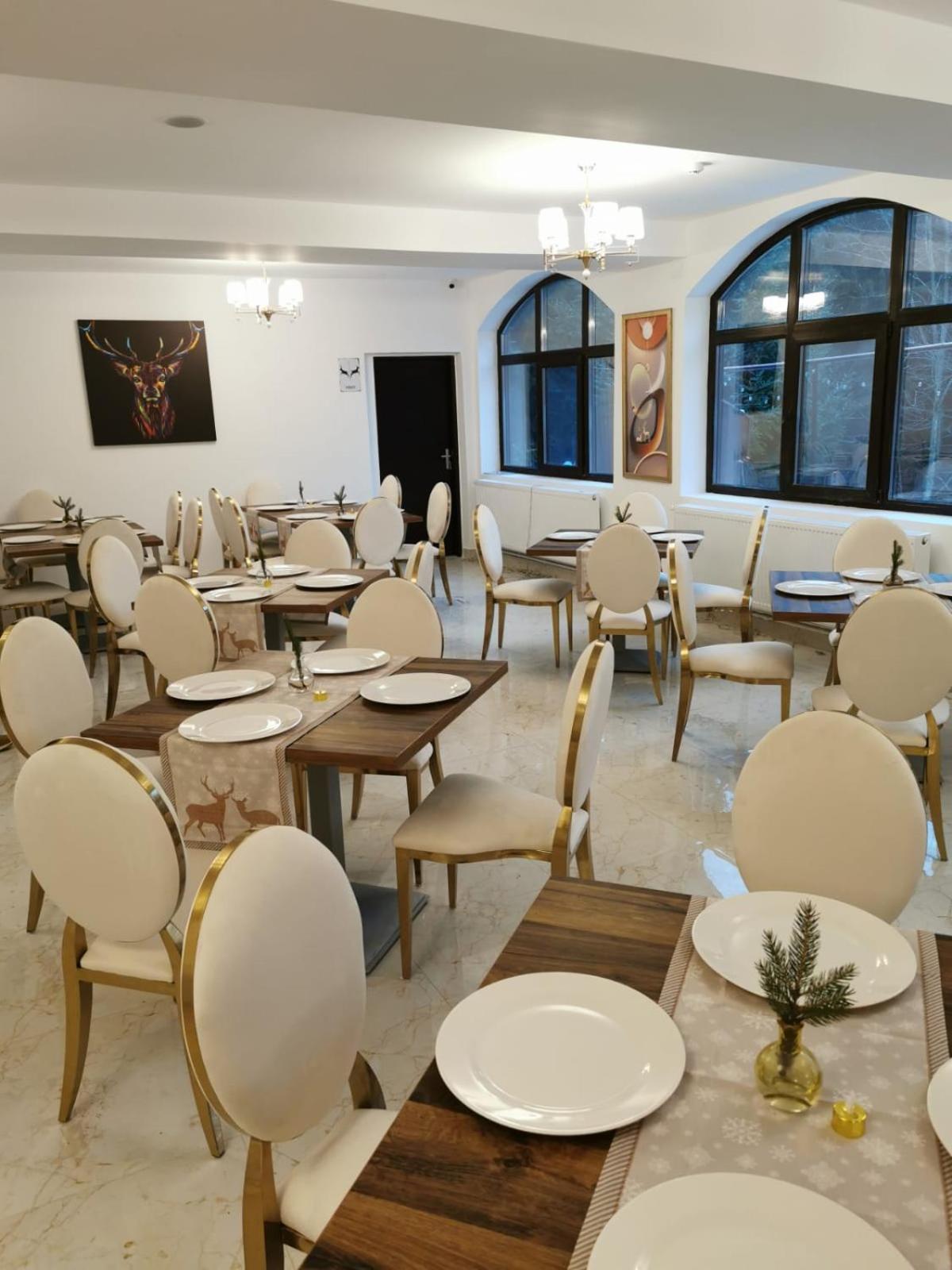 Cerbul Chalet Accommodation & Wellness Rîşnov 외부 사진