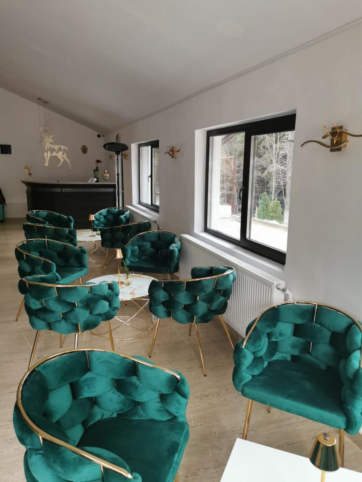 Cerbul Chalet Accommodation & Wellness Rîşnov 외부 사진