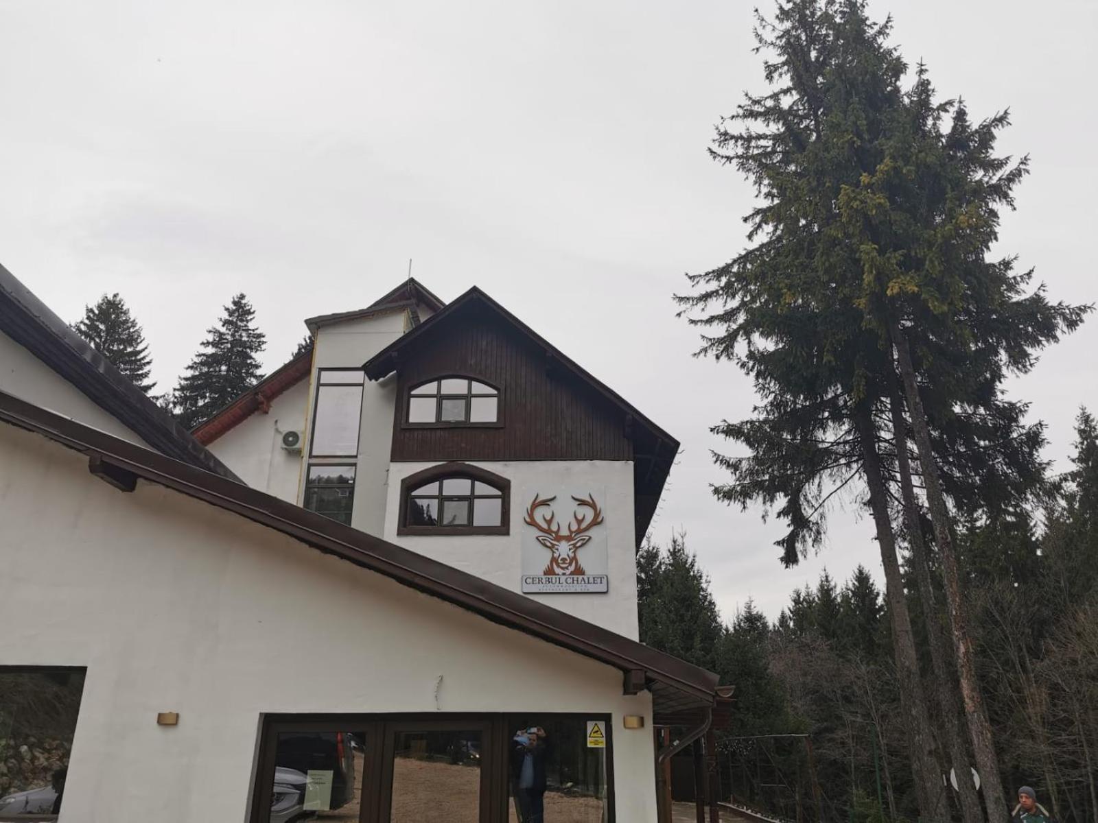 Cerbul Chalet Accommodation & Wellness Rîşnov 외부 사진