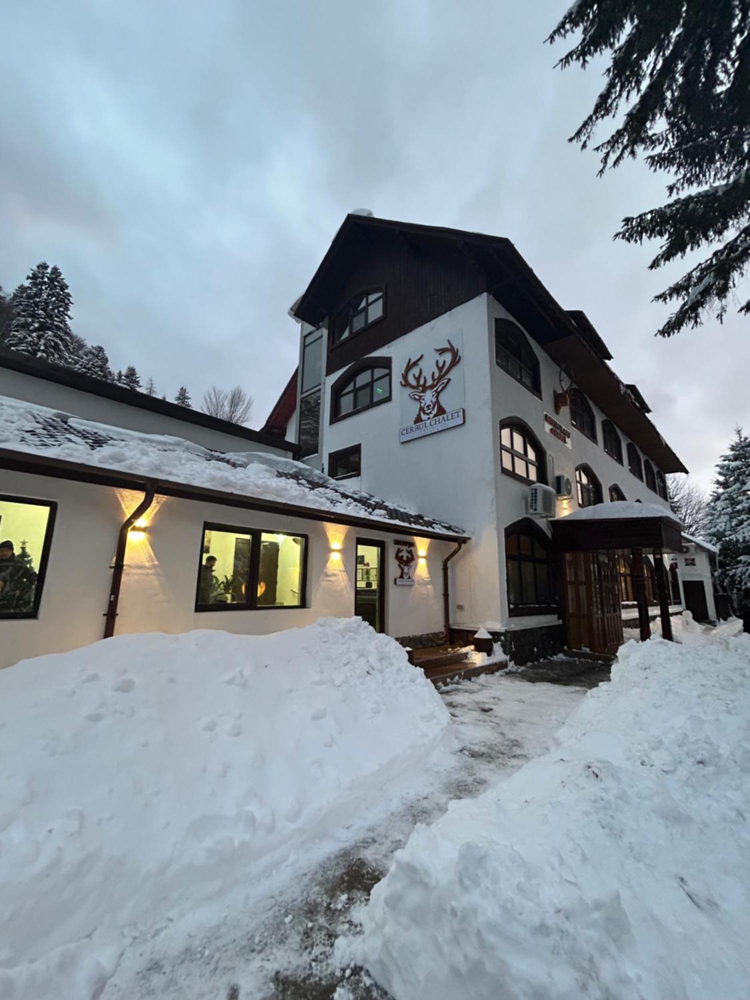 Cerbul Chalet Accommodation & Wellness Rîşnov 외부 사진