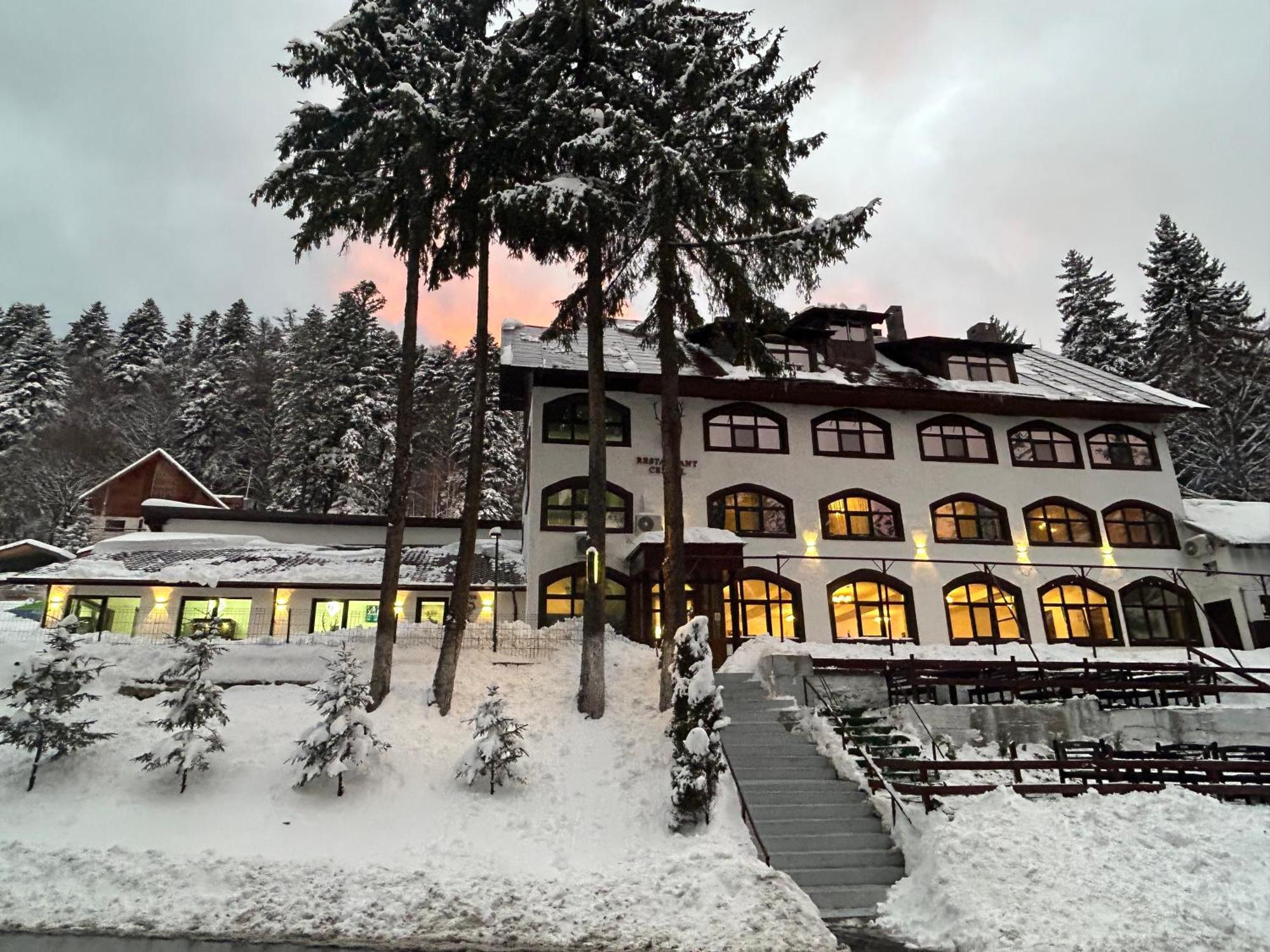 Cerbul Chalet Accommodation & Wellness Rîşnov 외부 사진
