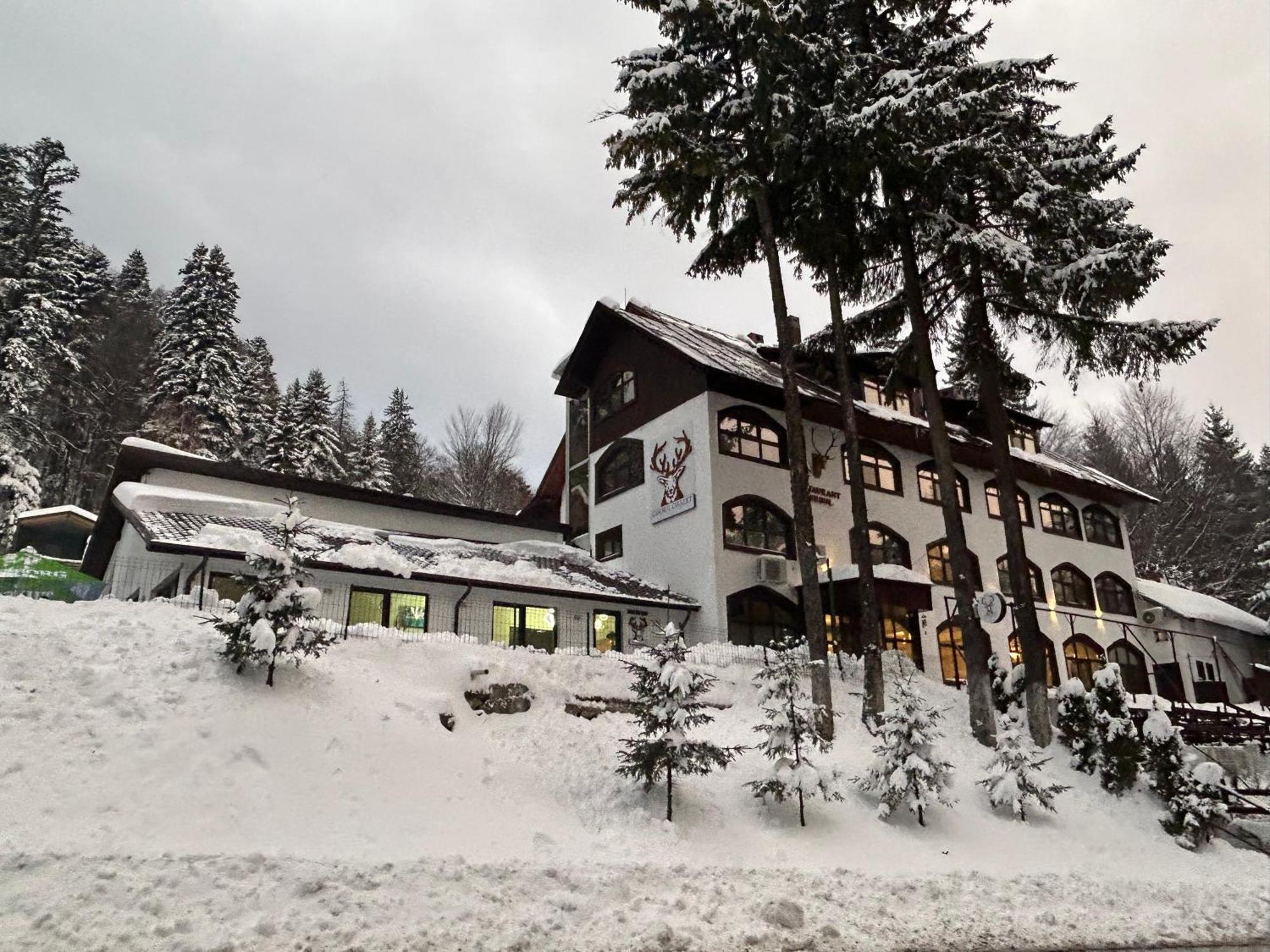 Cerbul Chalet Accommodation & Wellness Rîşnov 외부 사진